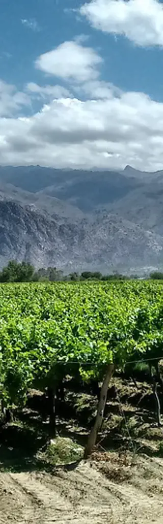 Canyons & Weingut in Argentiniens Norden